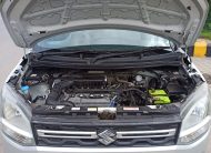 MARUTI WAGON R LXI GREEN CNG 2019