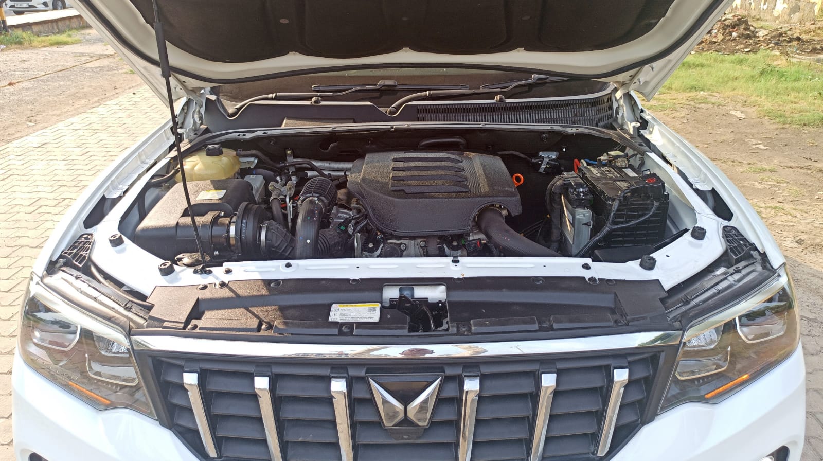 SCORPIO-N G MT 2WD Z8L 7S WQ